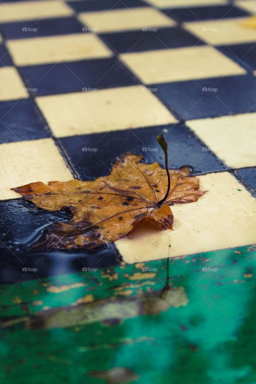 Close up of wet chessboard with fallen autumn yellow leaf