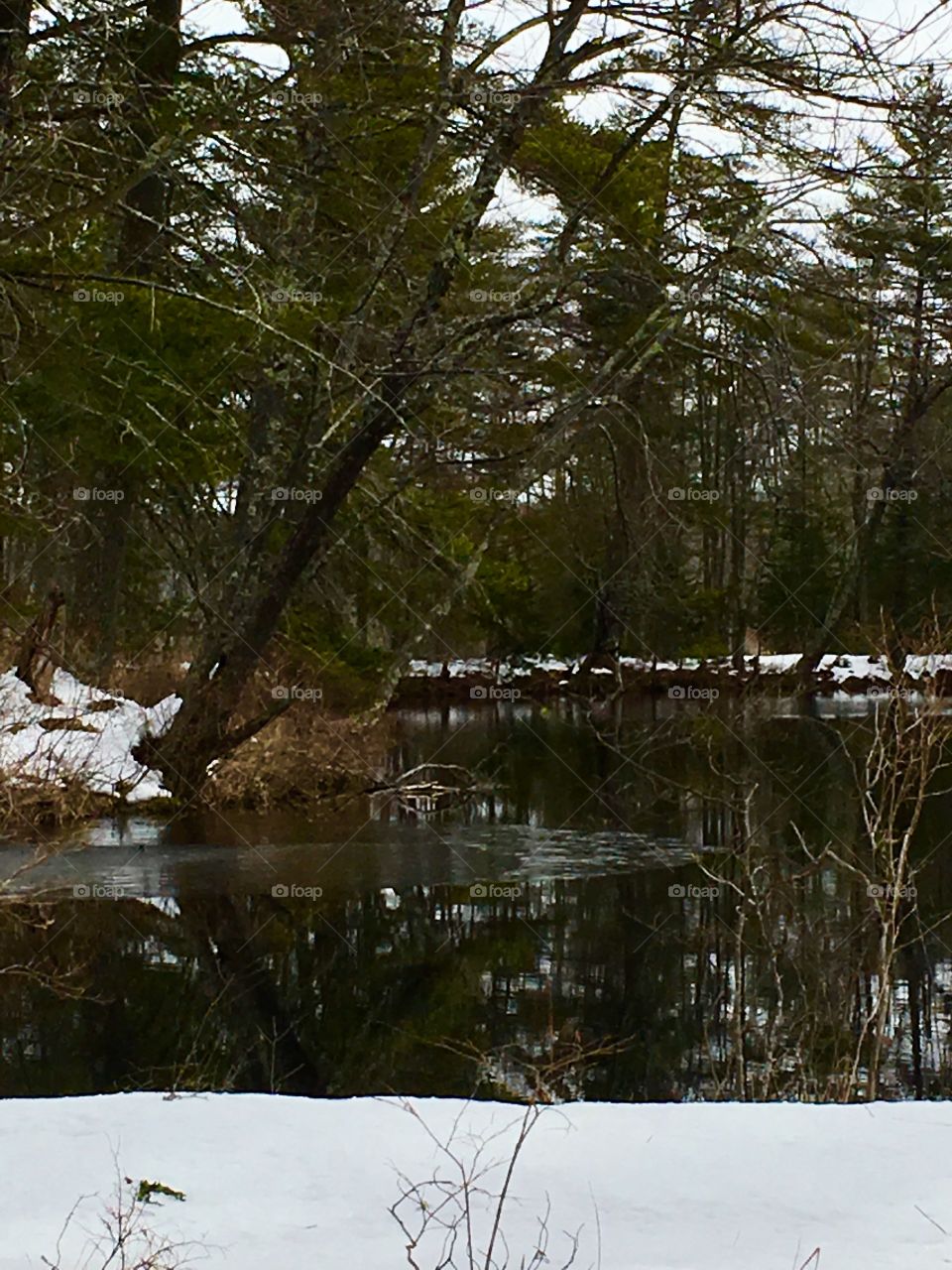 The Old Saco, spring in Maine 