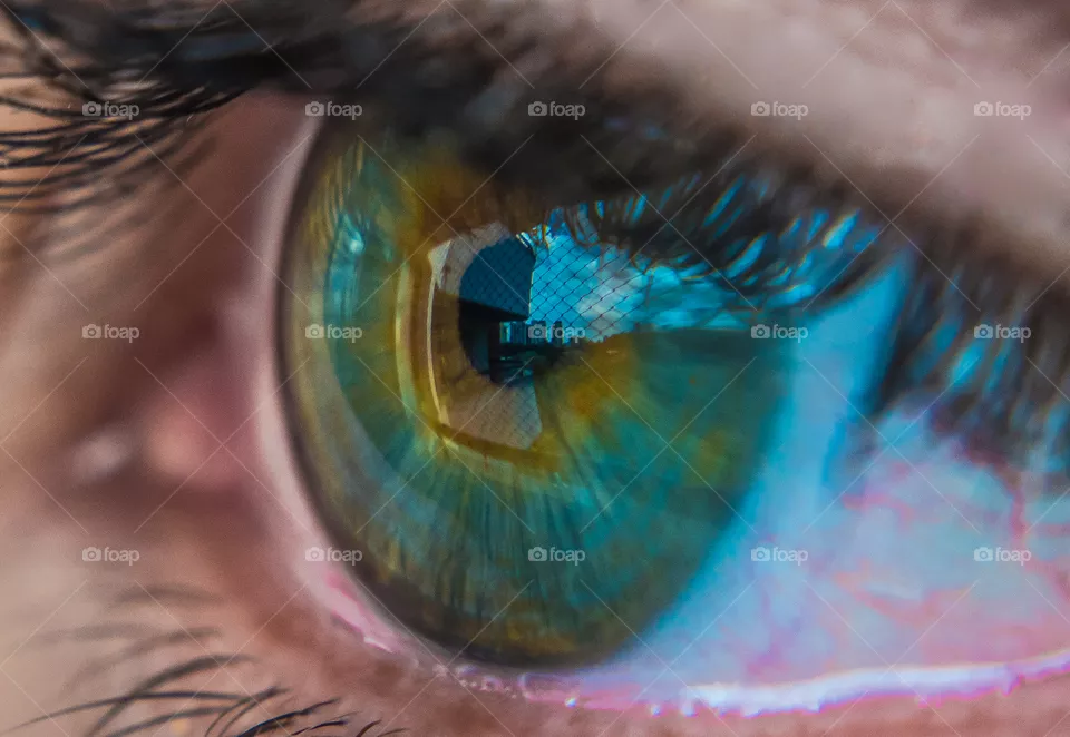 Human eye