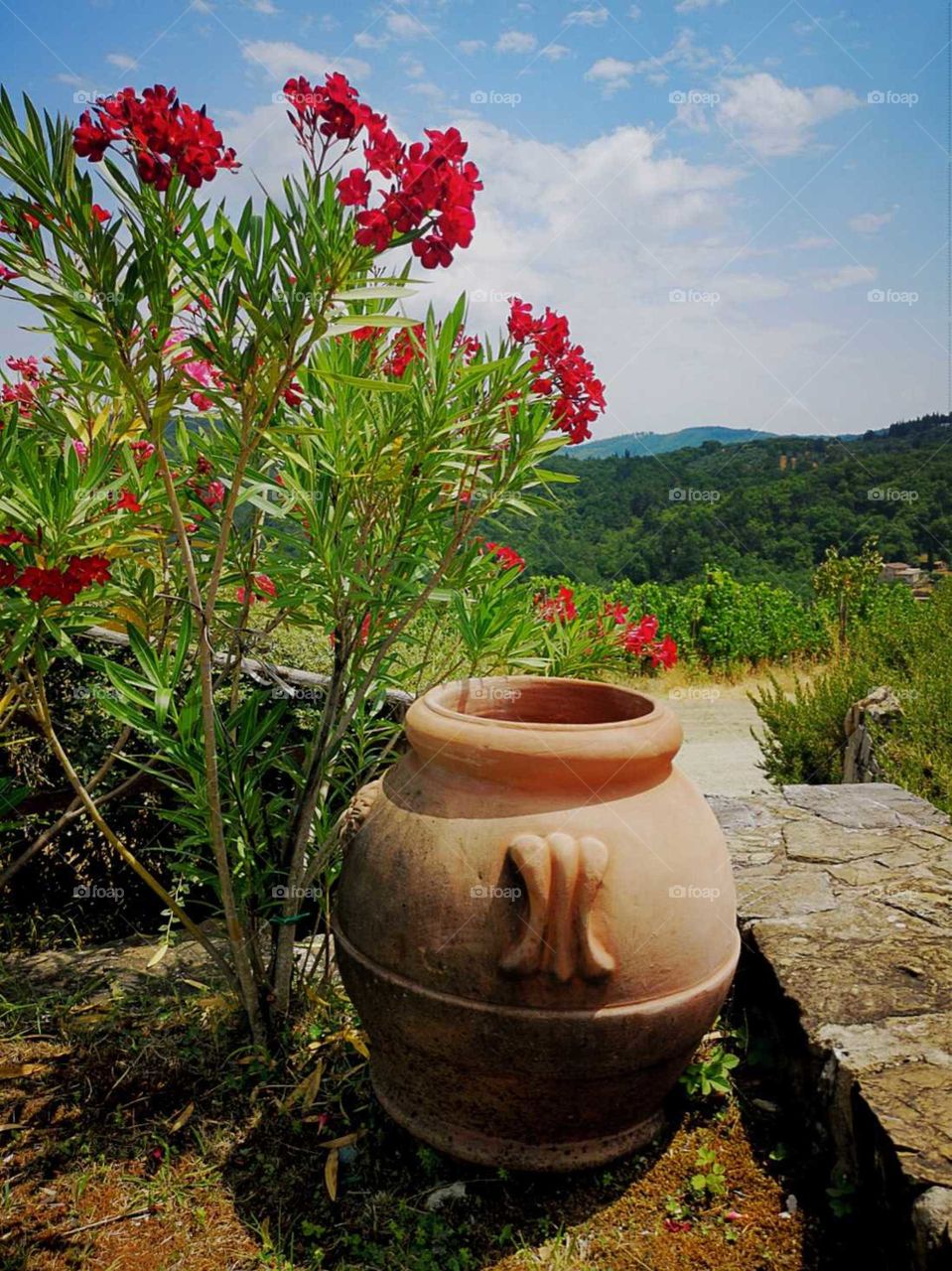 Clay pot with red flowers