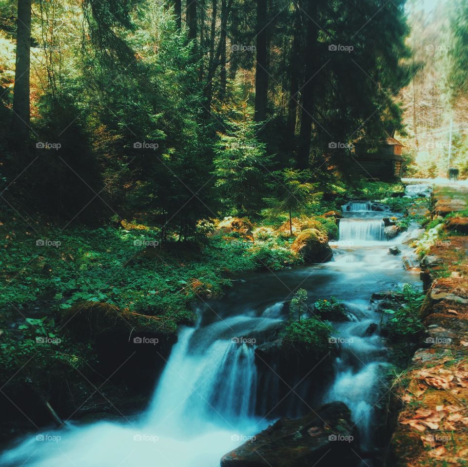 Carpathian waterfall in the forest
