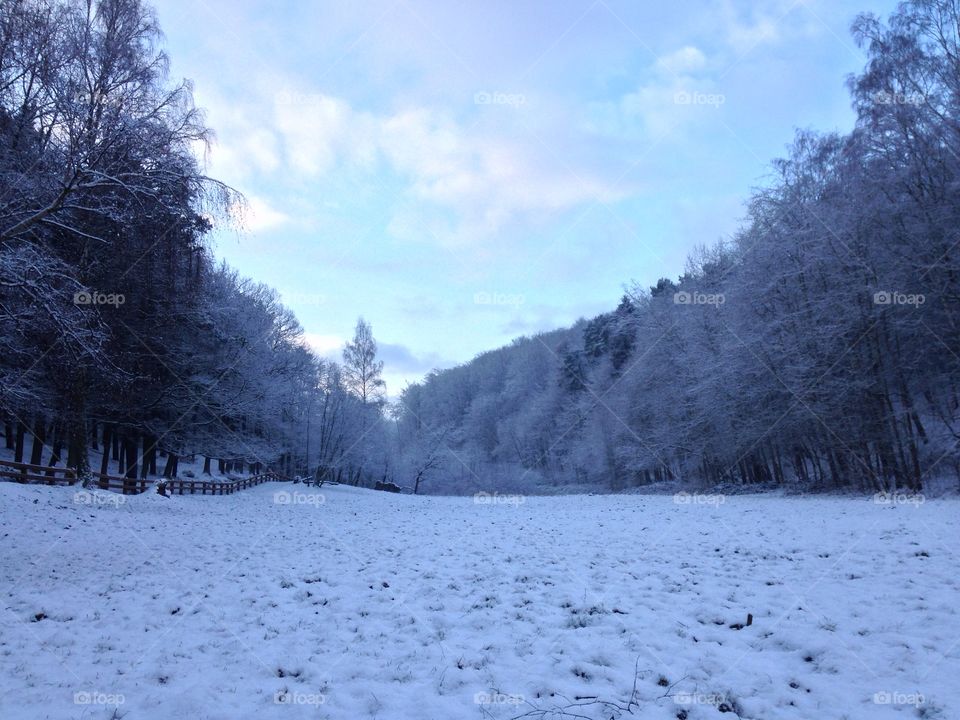 Snow, Winter, Cold, Frost, Frozen