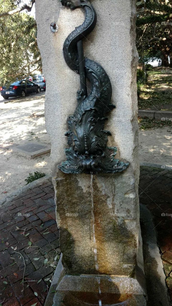 Charleston 
Tourism
Battery Park