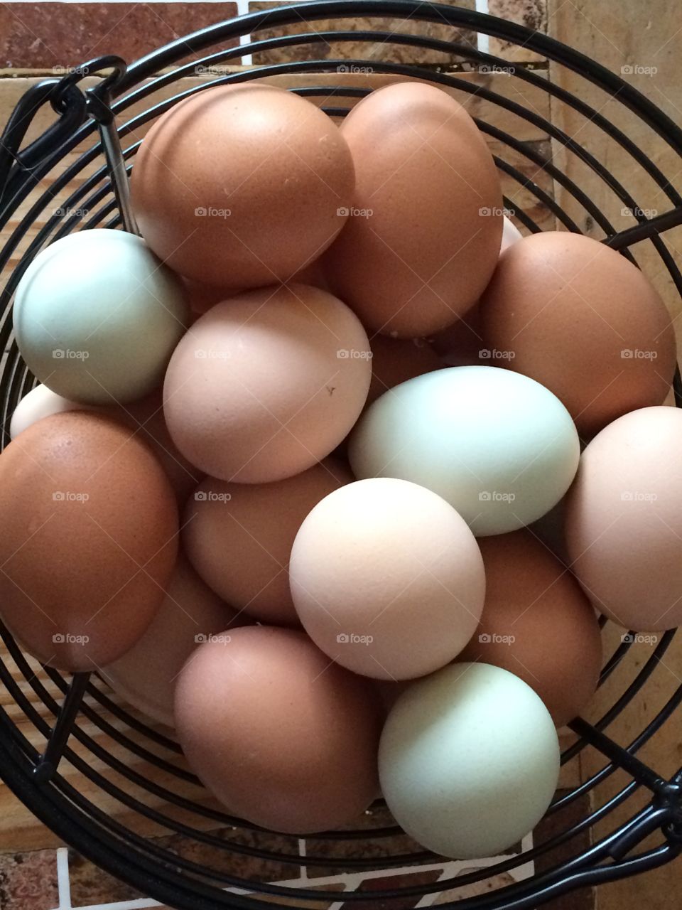 Backyard chicken eggs