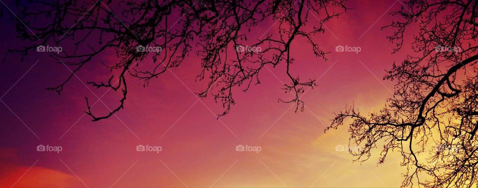 purple sky spring Greece photography