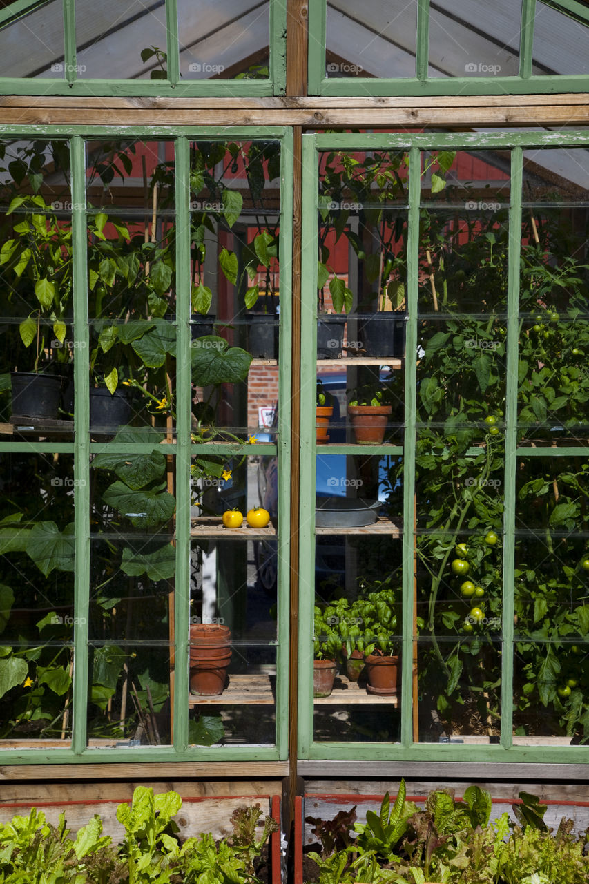 Greenhouse