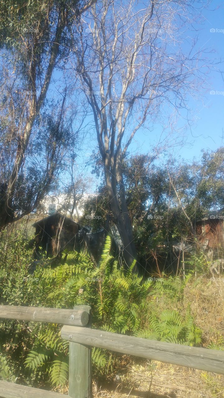 California Orange County Outdoors Winter Sun