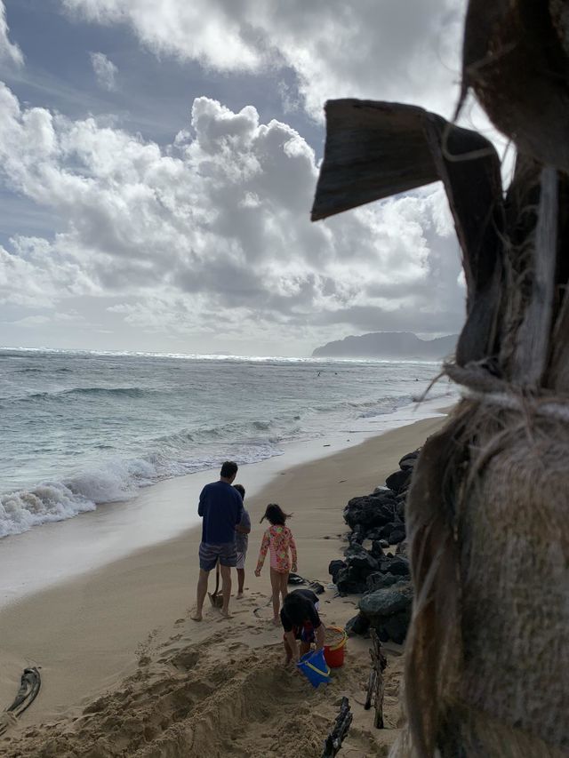 Beach walks
