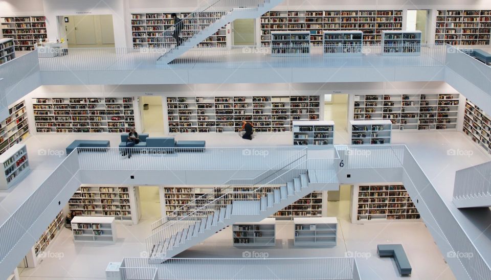 A day in the library 