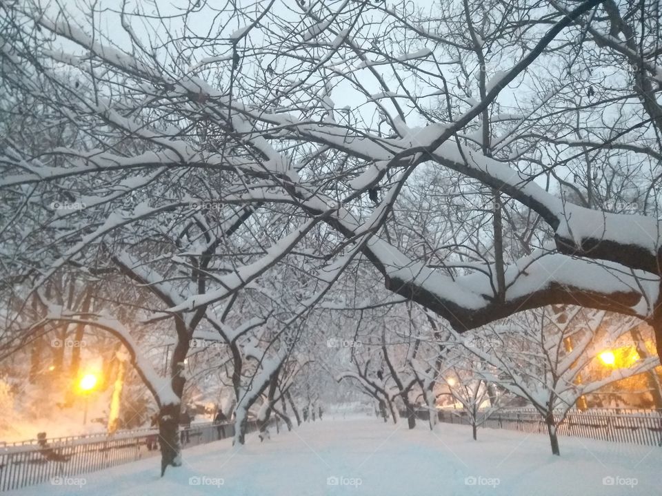 East Side Park NYC After Snow Storm