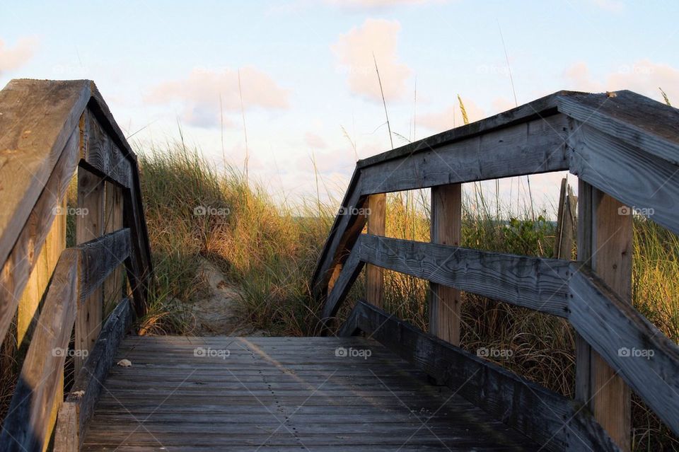 Wooden Walkway