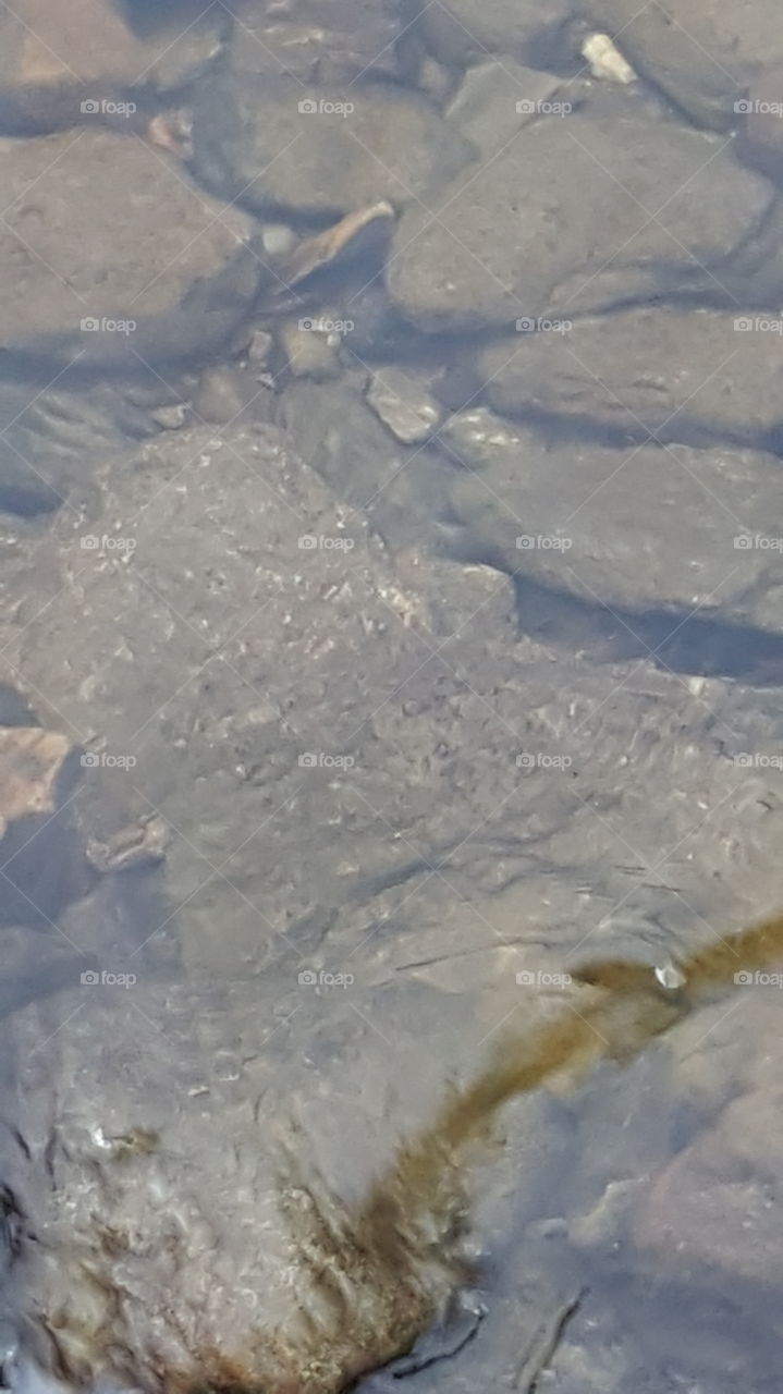 stone in lake