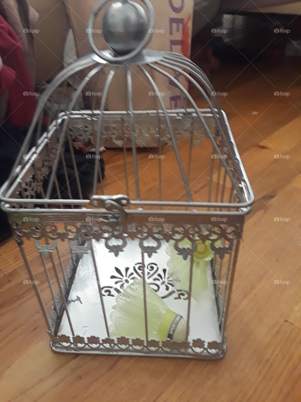 two birdies in a cage