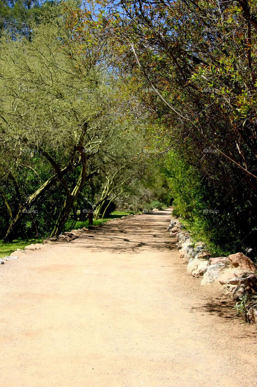 Path of Shade and Sunshine