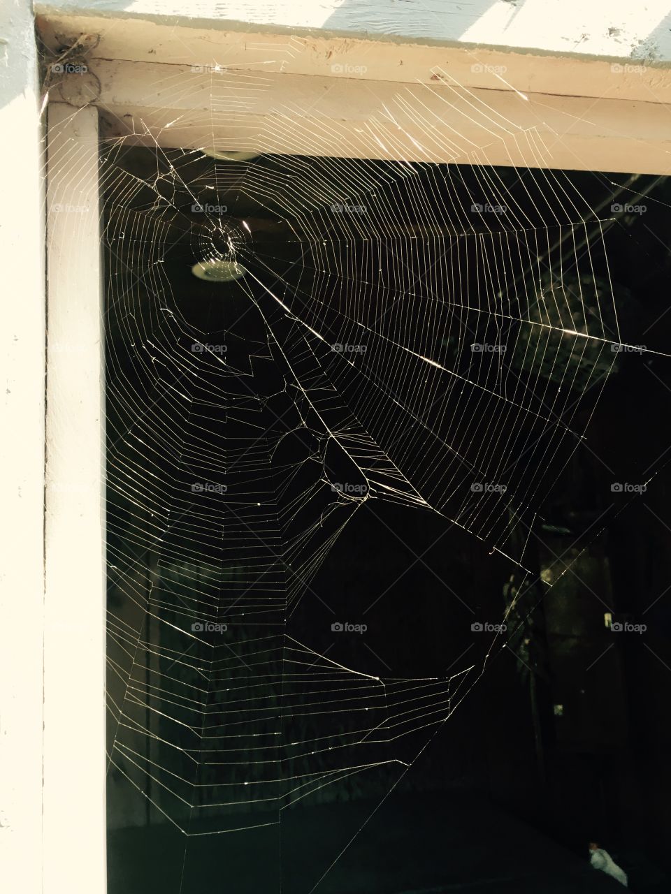 Spider web in doorway