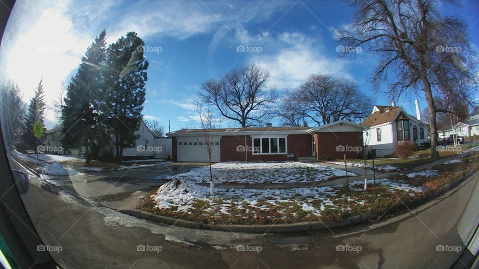 No Person, House, Tree, Home, Building