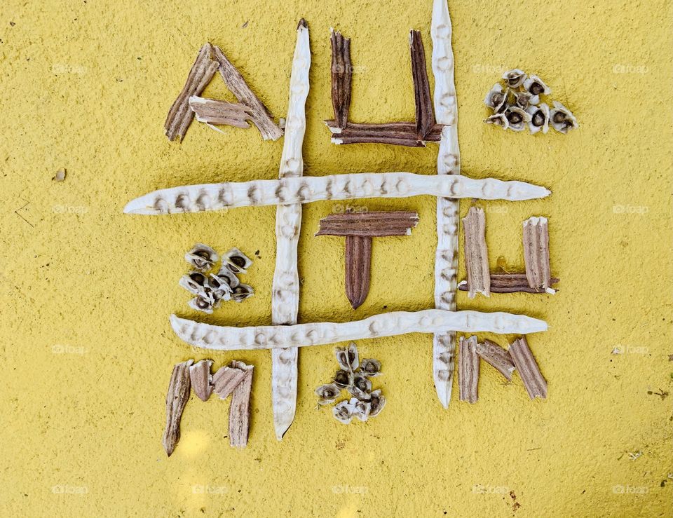 Autumn seeds like Tris game 