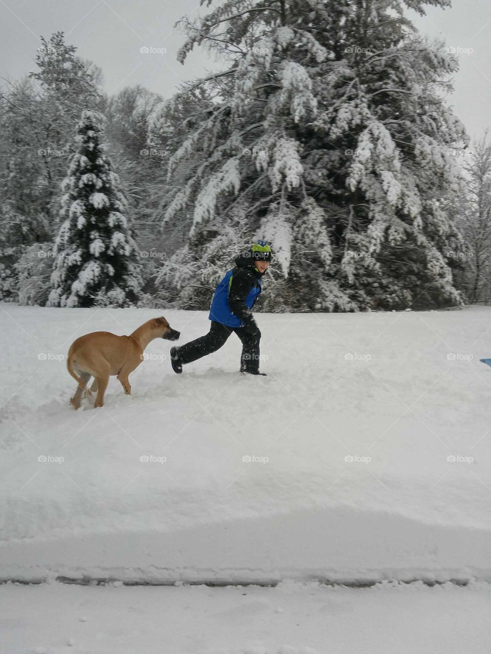 boy and dog