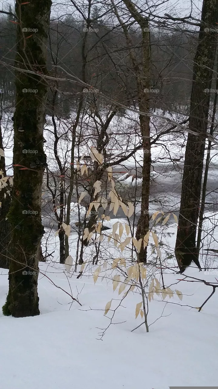 Adirondacks