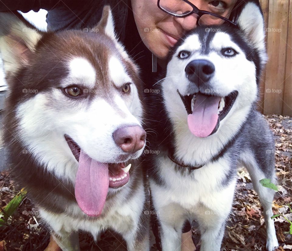 Selfie with two happy pups 