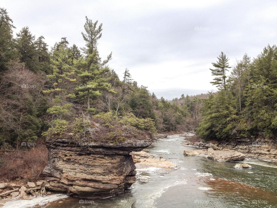 Swallow Falls