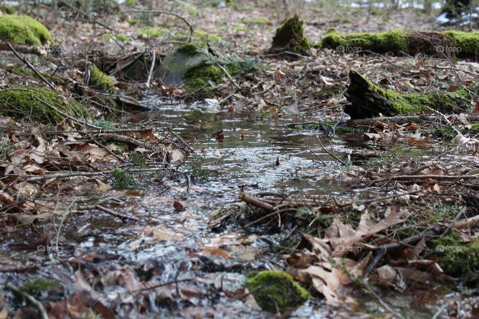 Creek close-up