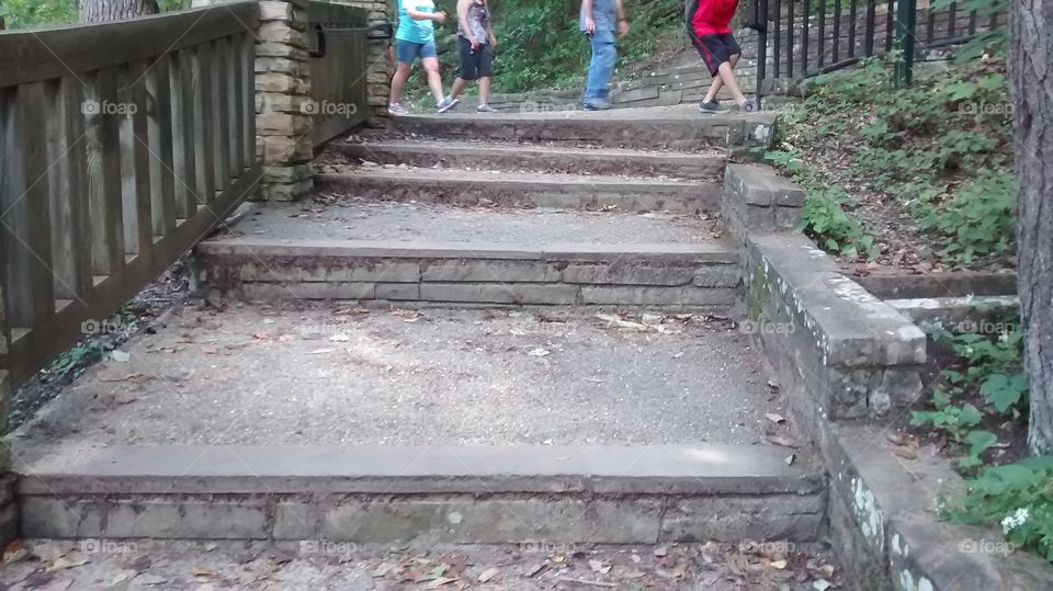 The Stairs to Nature