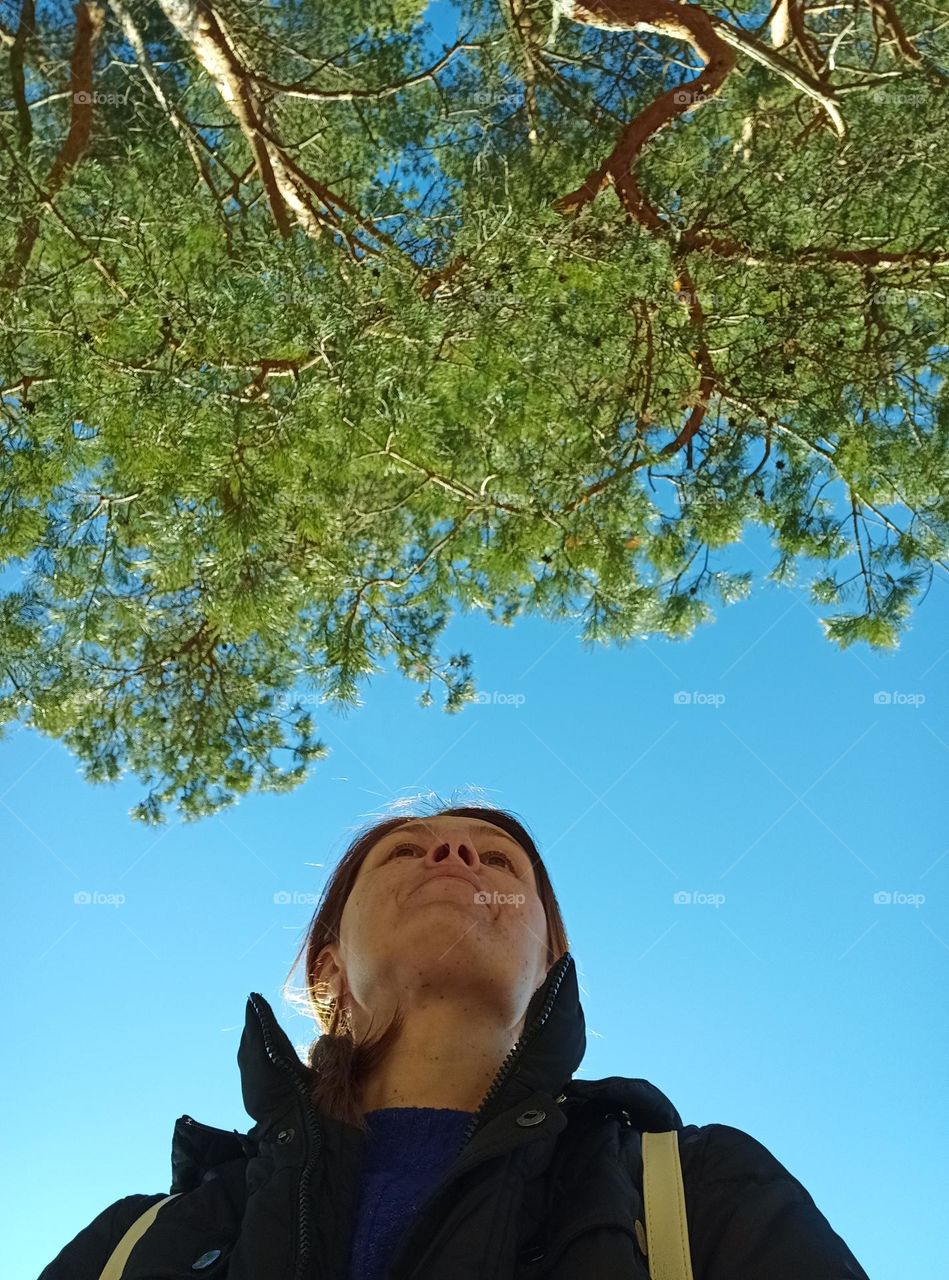 woman walking and forest trees blue sky background view from the ground