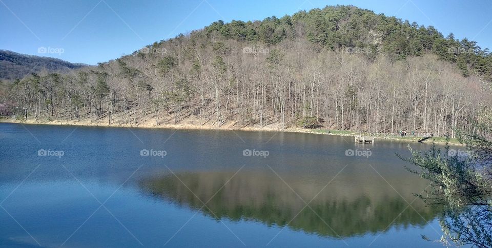 Painter's Pond in Virginia