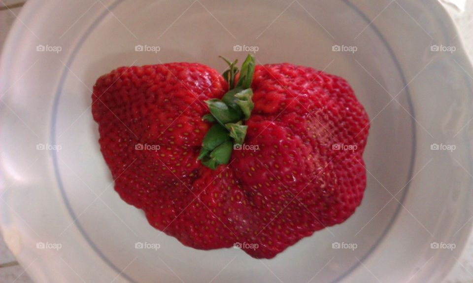 Giant Strawberry