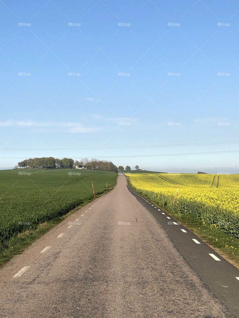 Road, countryside, spring, Sweden, Skåne