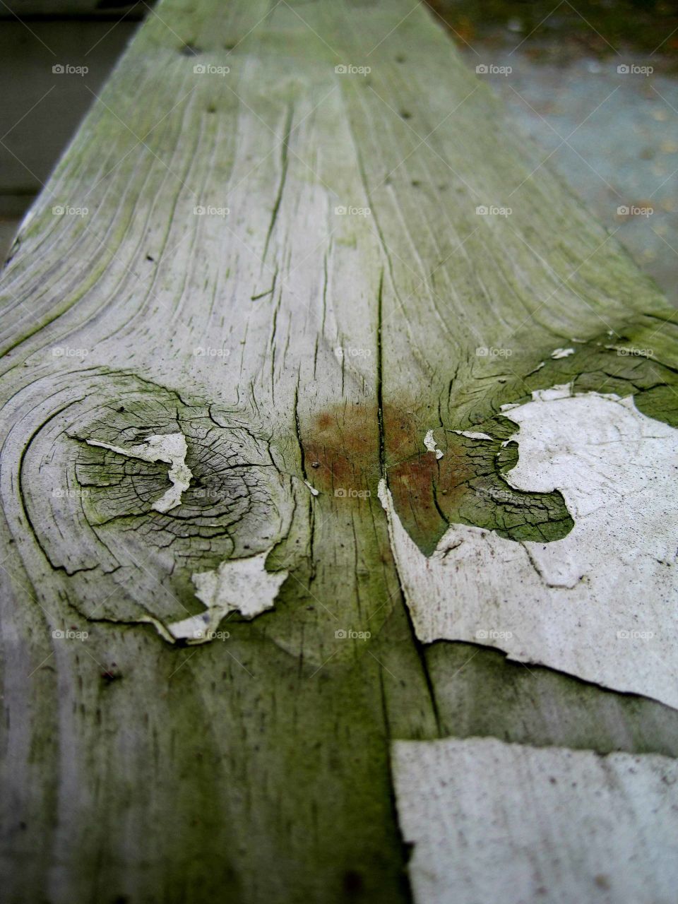 wood grain. college photography class detail