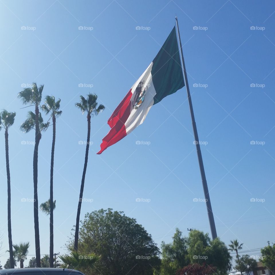 Viva Mexico. a waiving flag in Ensenada