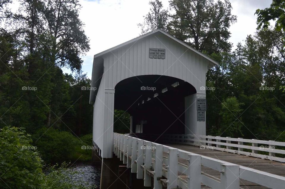 Pengra Covered Bridge, Fall Creek, OR