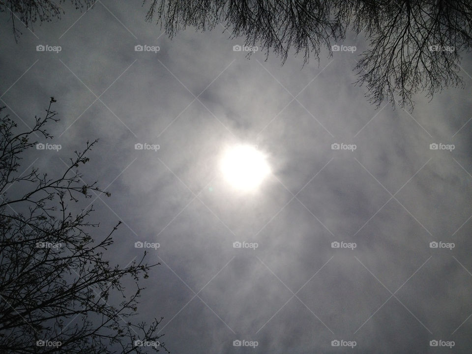 sky sun trees cool by randi_richards