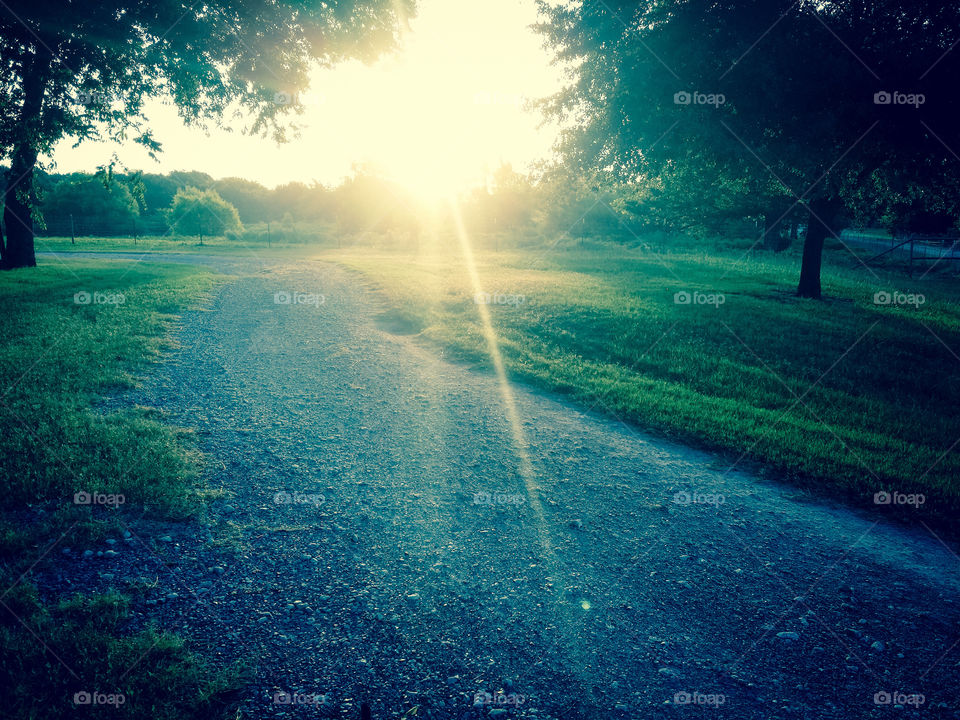 Country Road Sunrise