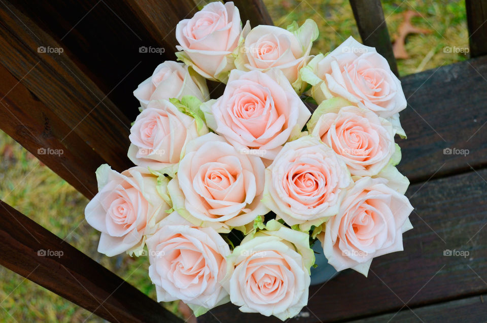 Pop of Pink ( Series )