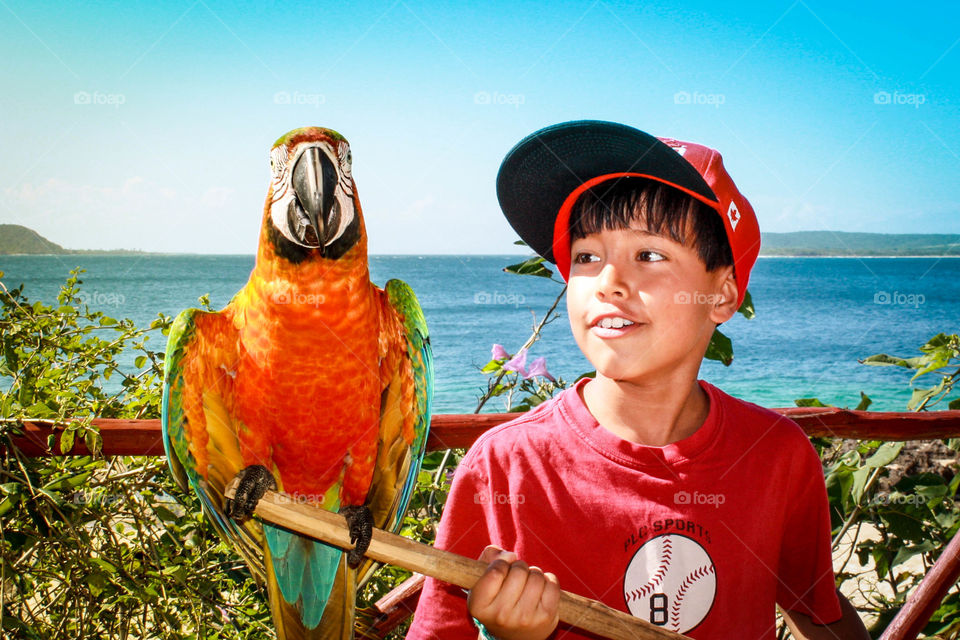 Little boy and a parrot