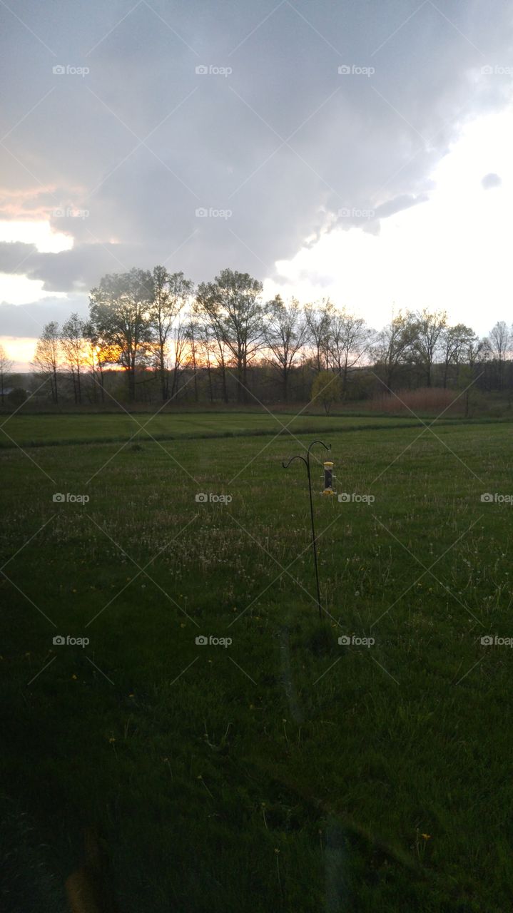 Sunset through a field