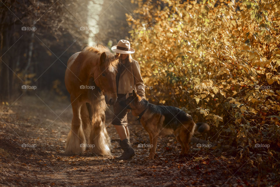 Portrait of young woman  with tinker horse and German shepherd dog 