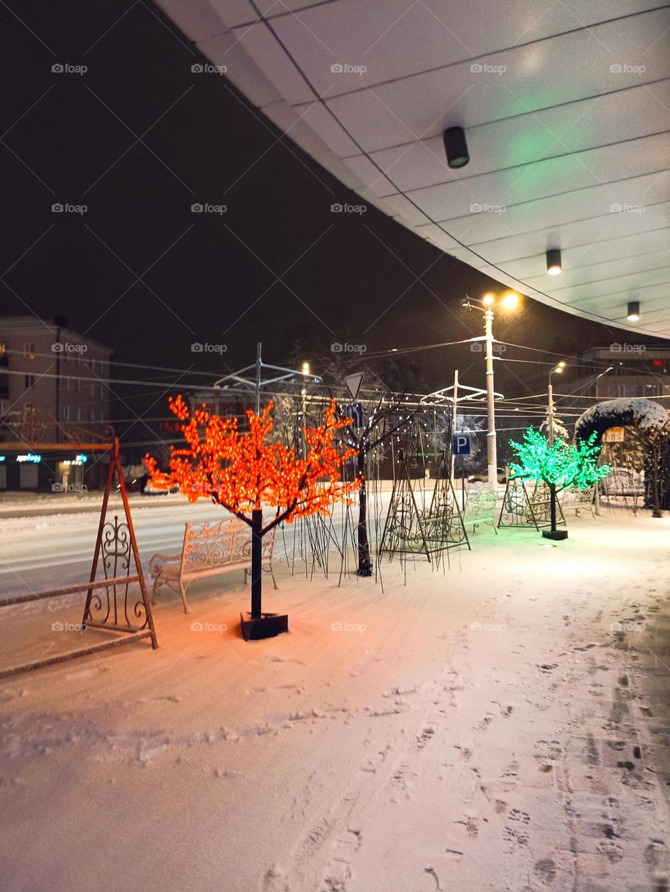 Bright trees in winter