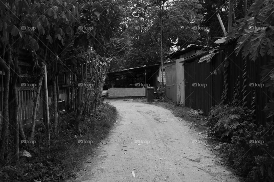 kampong walkway