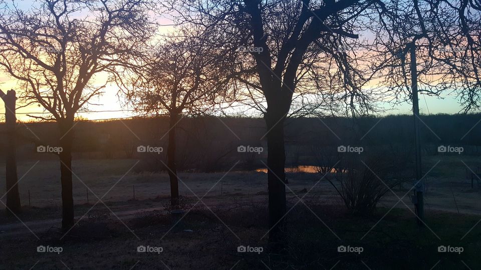 sunset behind the trees
