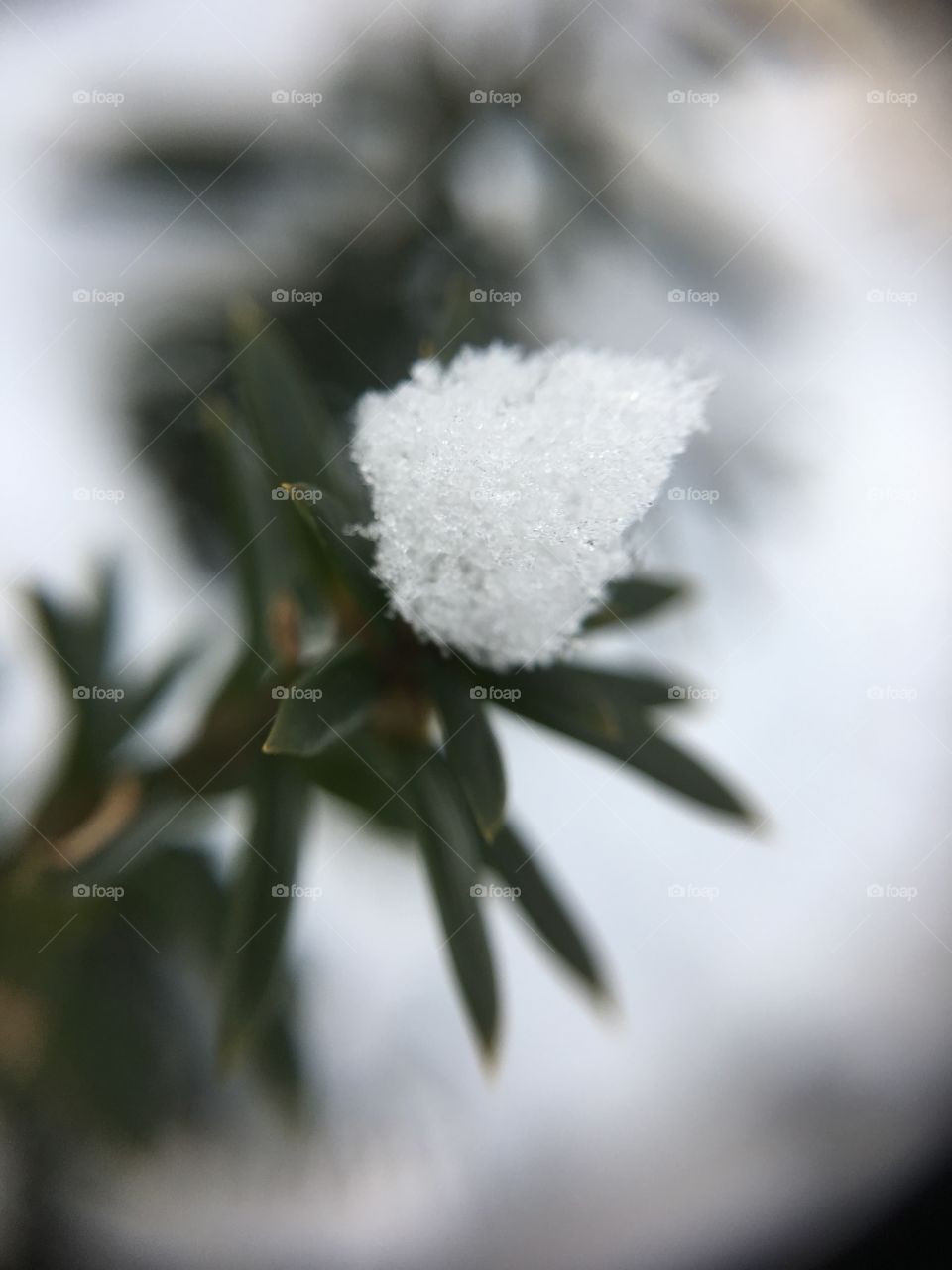 Snow hat