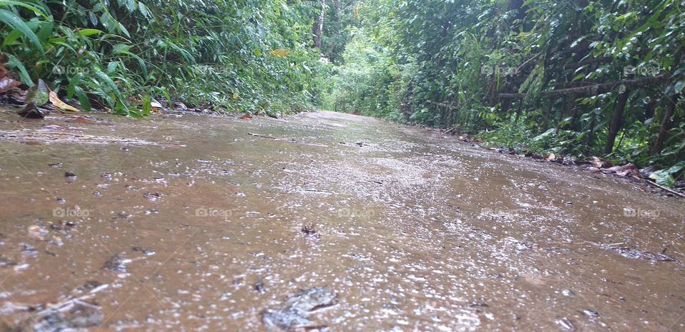 amazing nature with one way path