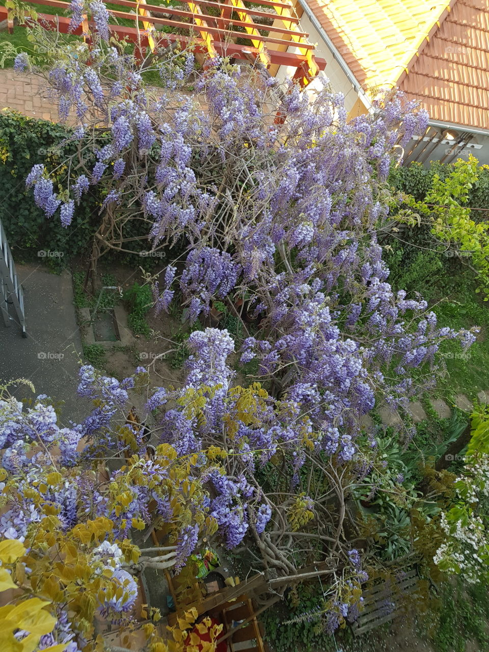 It is both fragrant and cool