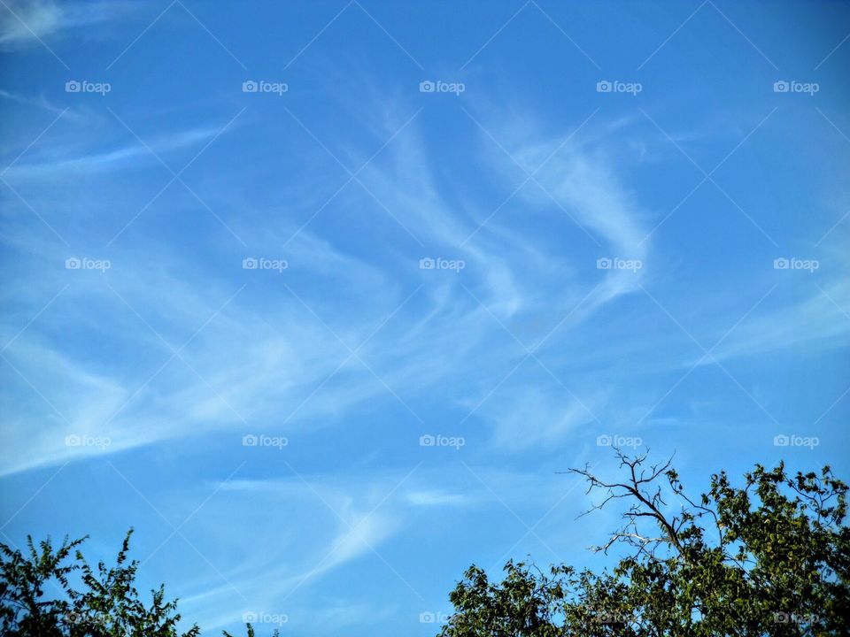 angel 😇 vapor. This is a picture of some clouds God provided for me so I could upload it on foap. 👣 🚶 🏃 🔥 💨