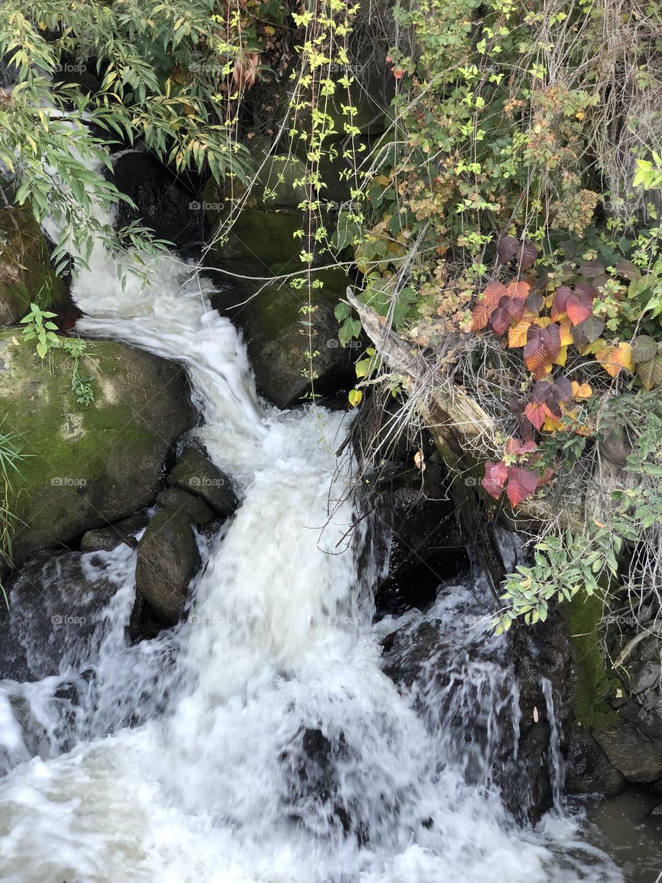 Water fall at Twin Falls