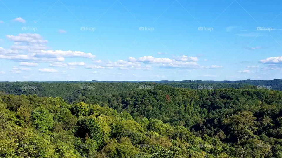 landscape