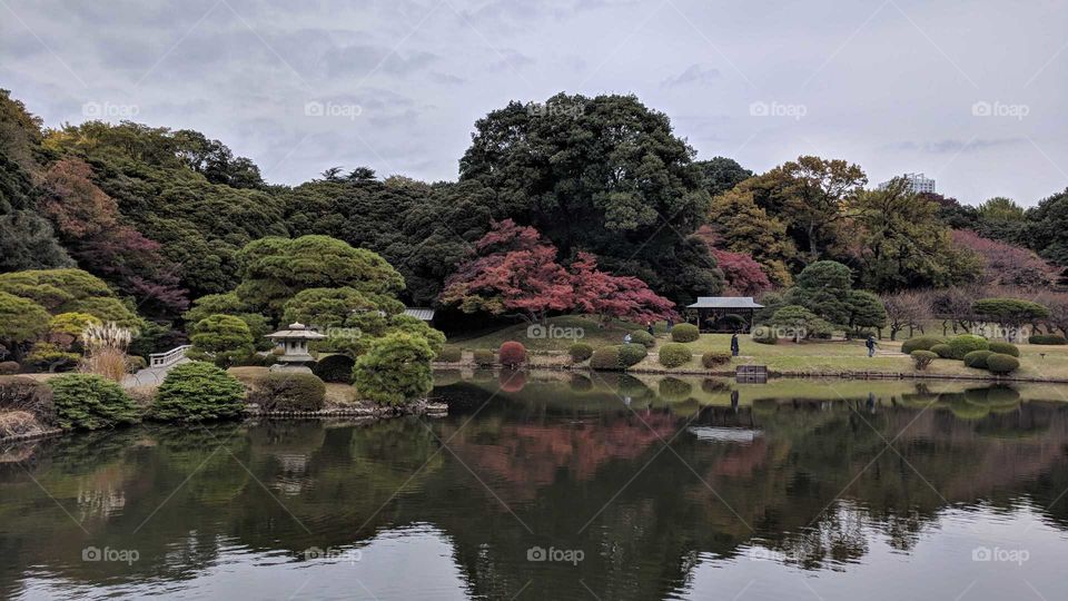 Shinjuku Gyoen National Garden